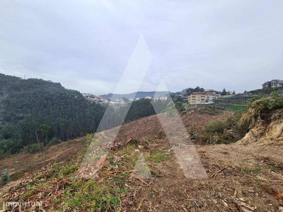 Terreno em Vale de Cambra