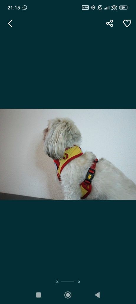Kit para cães com 19 peças
