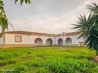 Herdade com 15 hectares com picadeiro e olival