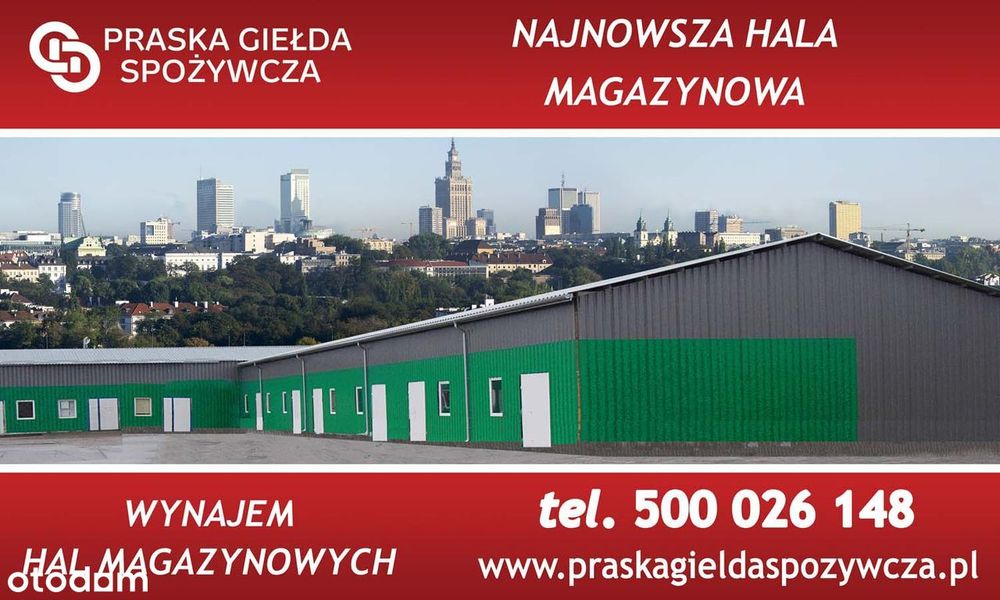 Wynajem Hali Magazynu Chłodni Mroźni (128m2)