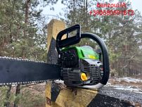 Професійна бензопила BOSCH BP 230 (шина 45 см, 6.5 кВт)