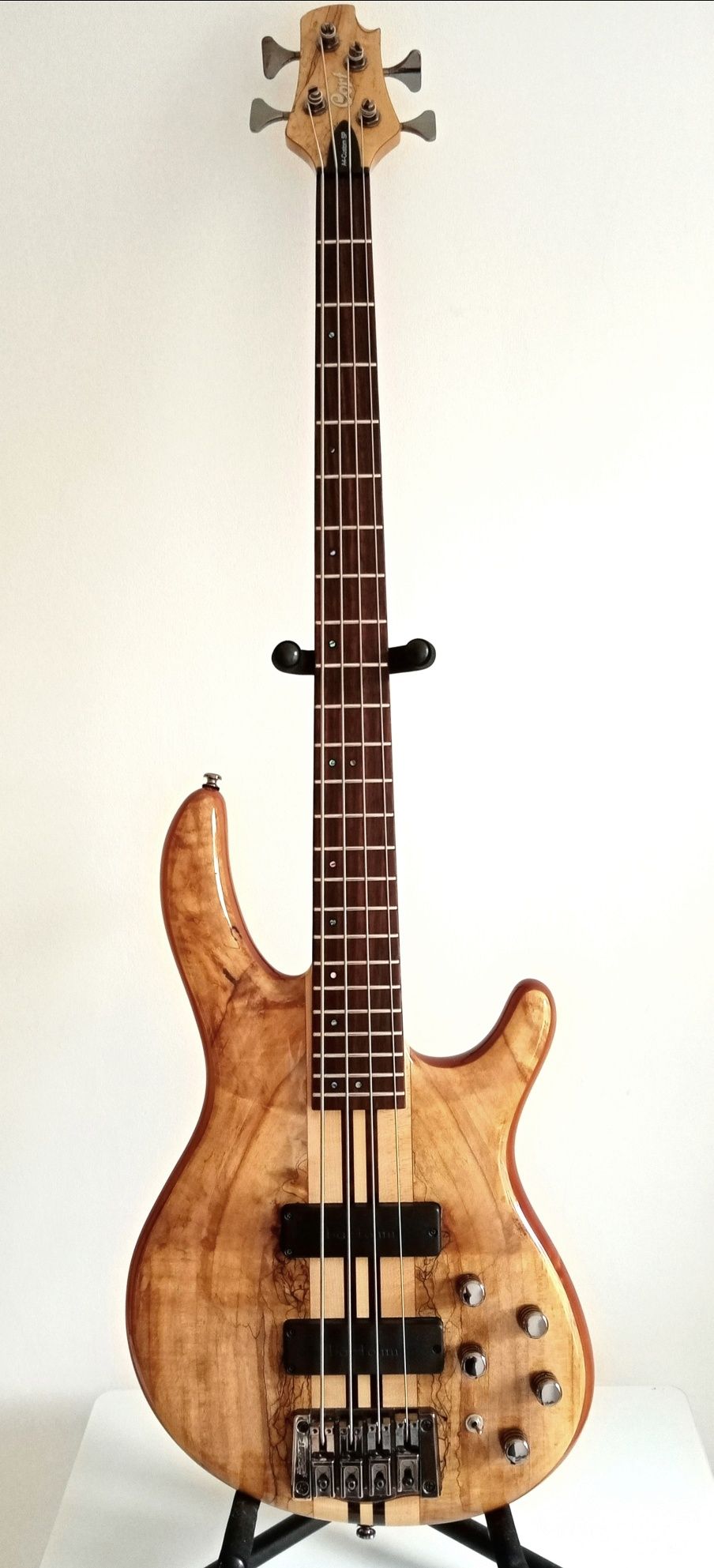 Cort bass A4 Custom SP