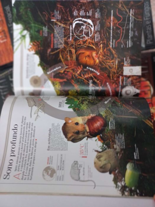 Atlas Visual de Ciência 13 livros