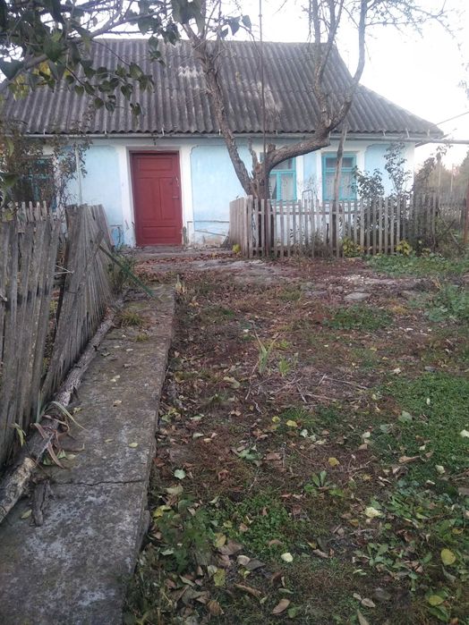 Продається будинок. с .Думанів