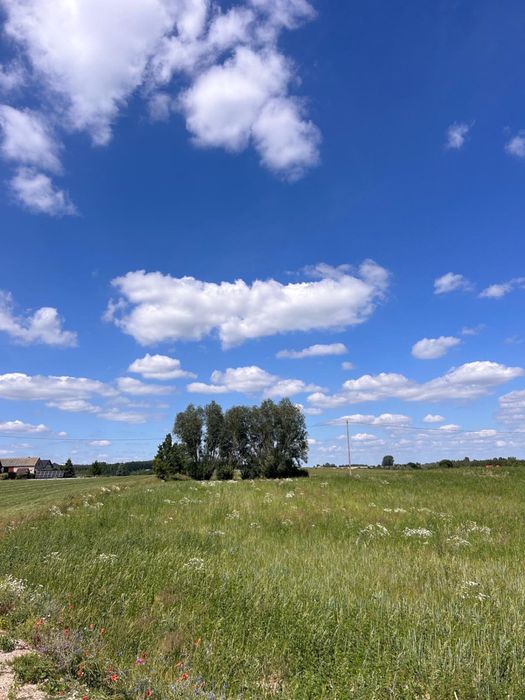 Działka 1,1 h nad jeziorem z linią brzegową Kleszczyn