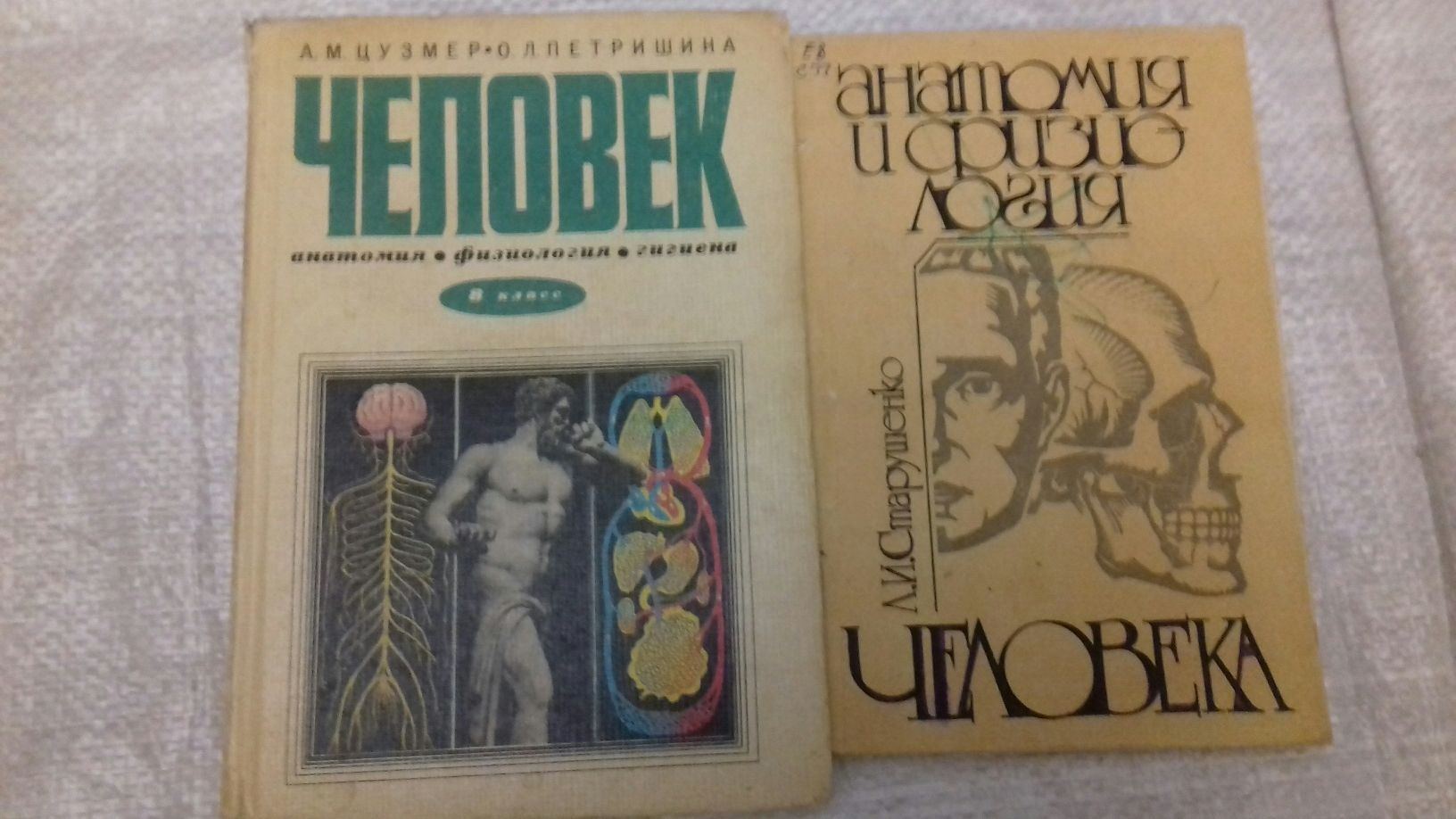 А.М.Цузмер Человек анатомия физиология гигиена 8 класса 1973 г учебник