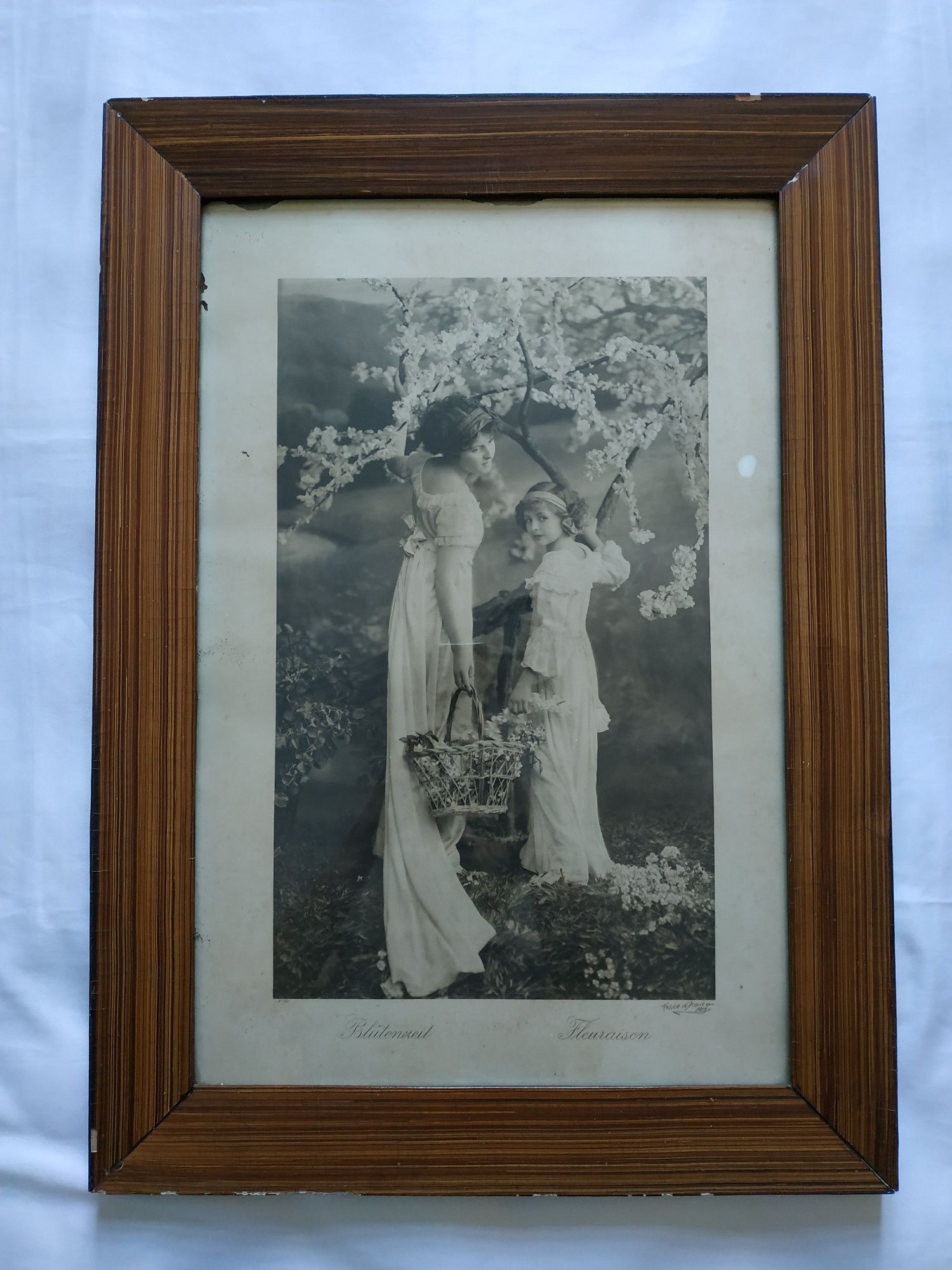 Quadro antigo Grande Fotografia Francesa de 1913