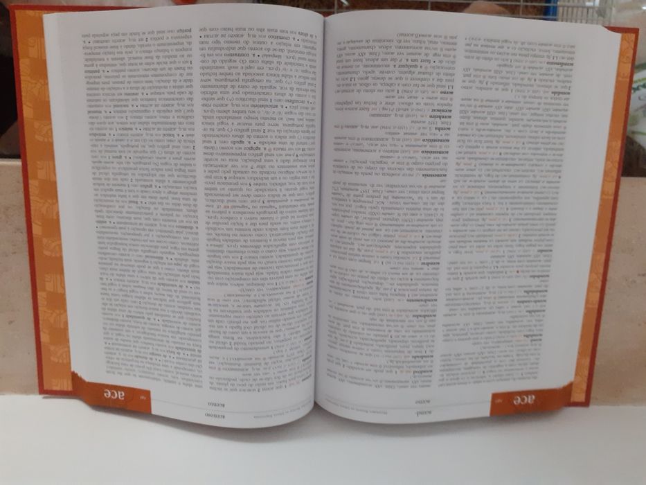 Dicionário Houaiss da Língua Portuguesa