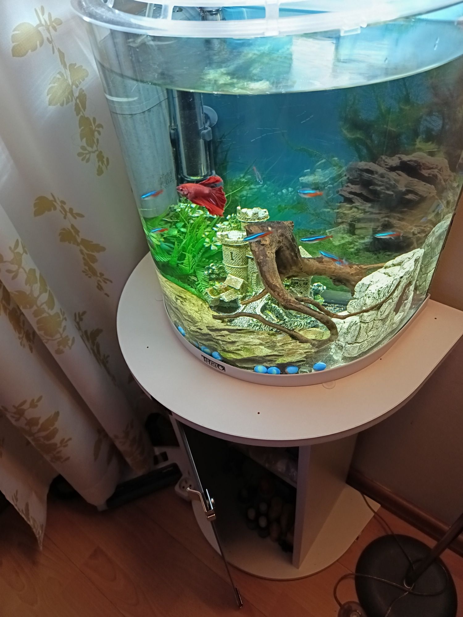 Zestaw Tetra akwarium plus szafka oryginalny