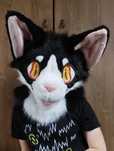 Fursuit premade head kot