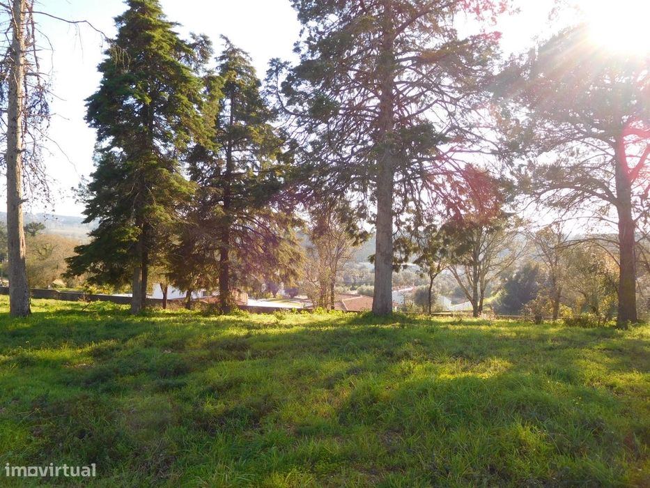 Lote de Terreno / Com 6770m2  / Monte Real / Leiria