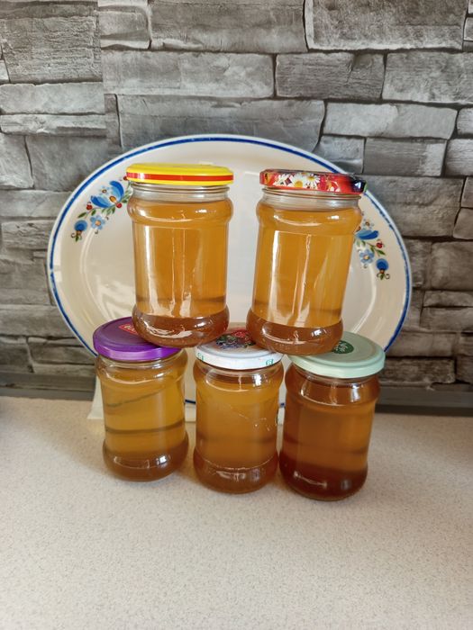 Sok z kwiatów czarnego bzu