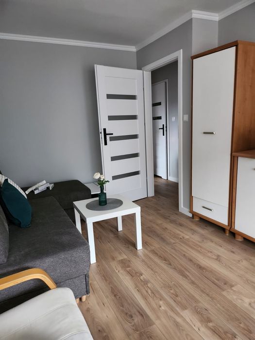 Mieszkanie dwupokojowe na wynajem