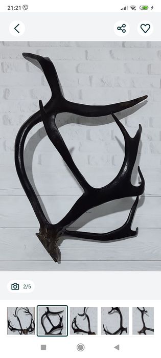 Рога интерьер декор вешалка.