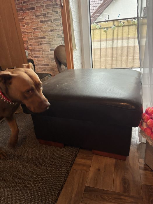 Pufa oddam za kawę ford