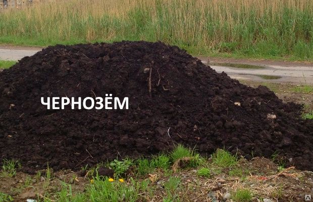 Чернозем с доставкой для огородов ландшафтного дизайна по области