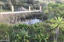 Terreno agrícola com 946m2 e benfeitorias
