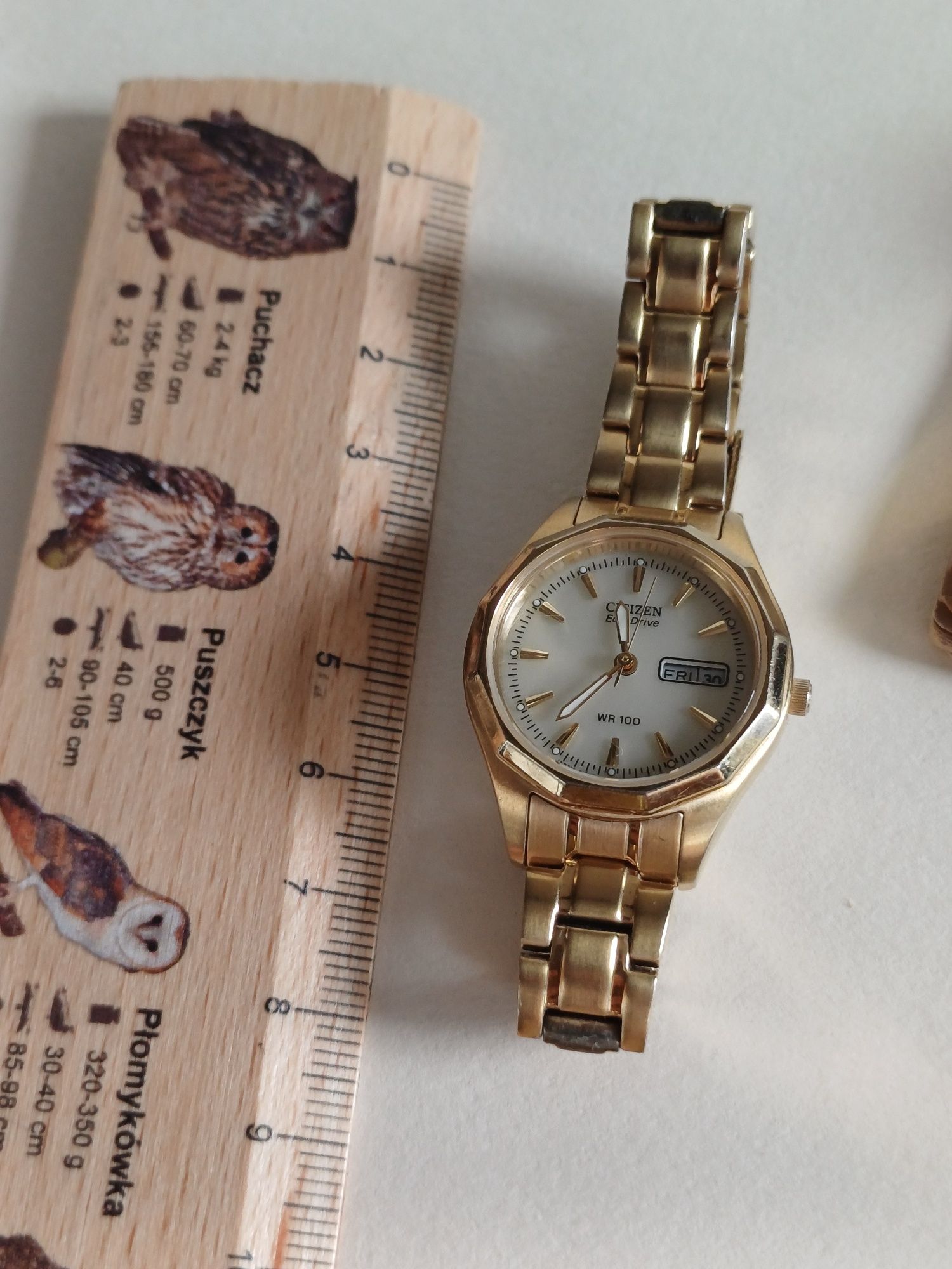 Citizen Eco Drive wr 100 zegarek akumulator słoneczny naręczny