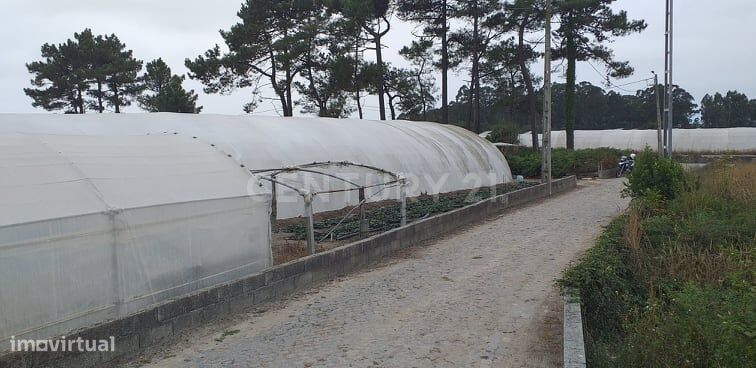 Terreno com 3285 m2 em Terroso Póvoa de Varzim.