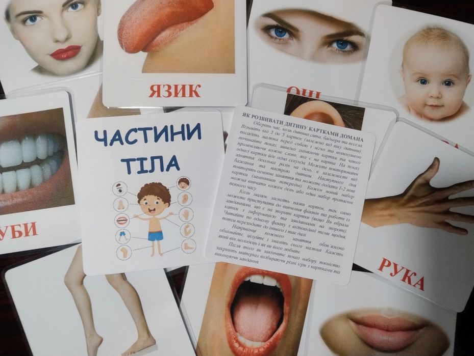 Картки Домана різних розмірів ламіновані