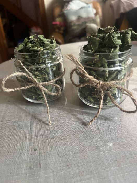 Чай инжирный. Лилейник, морозник