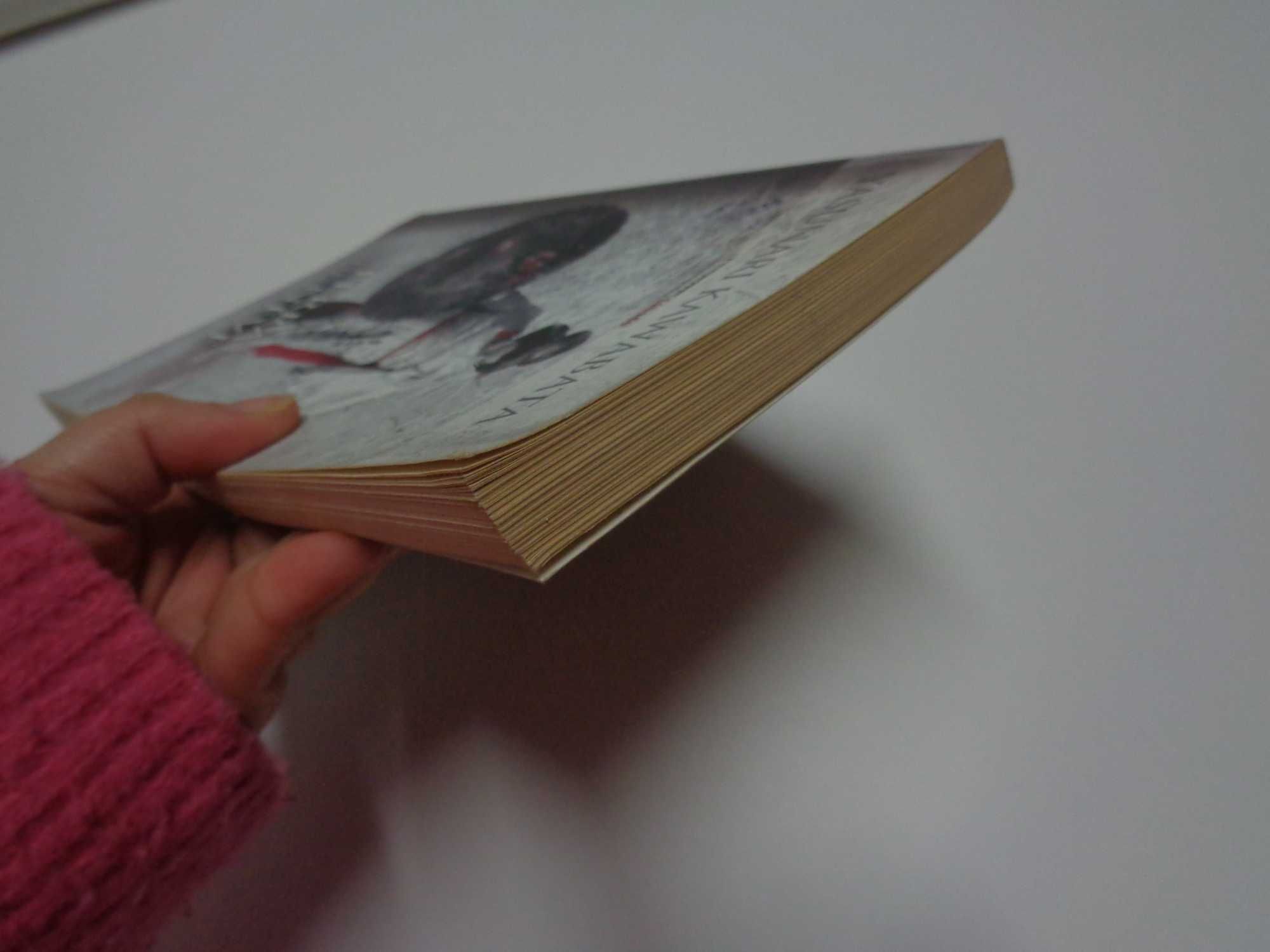 Livro Terra de Neve - Yasunari Kawabata