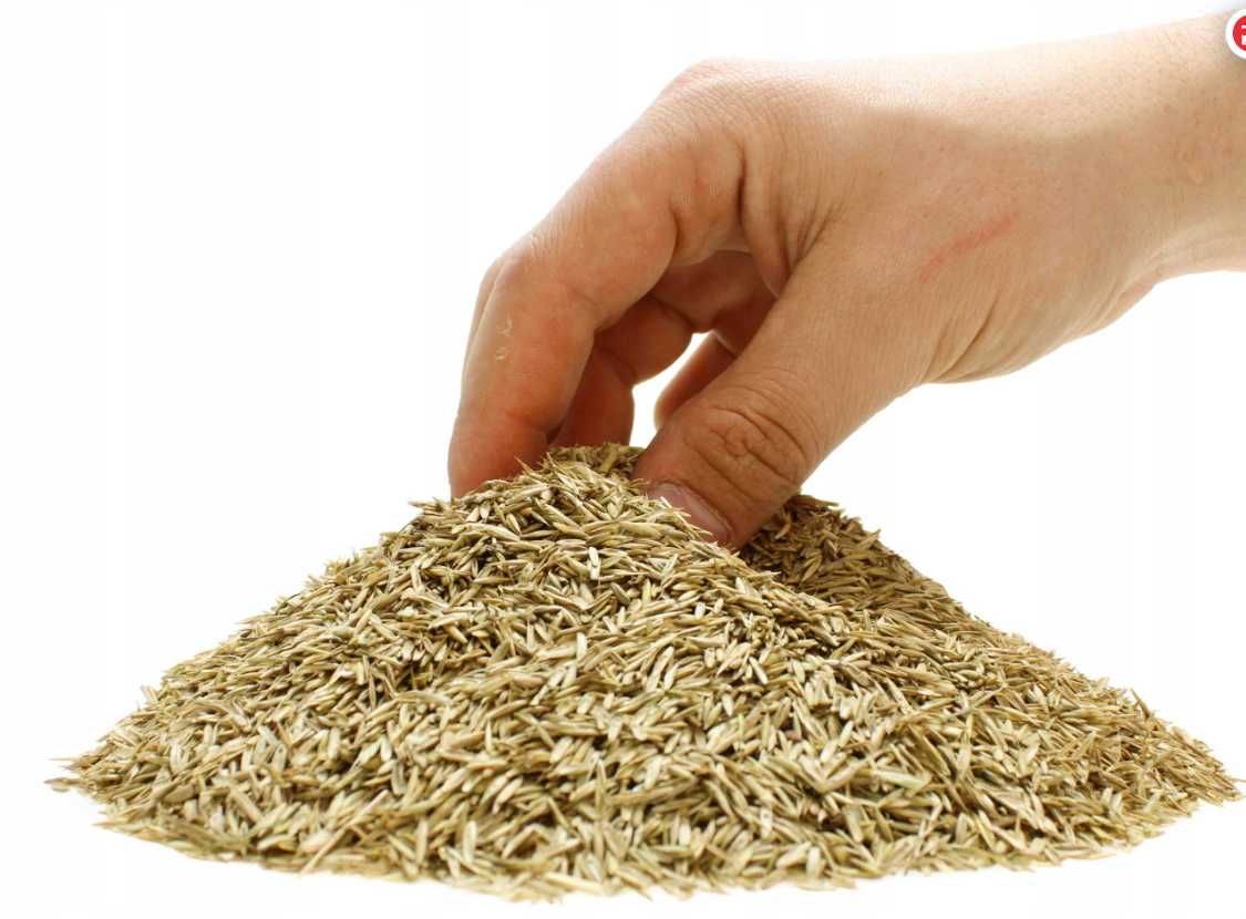 Trawa nasiona samozagęszczająca uniwersalna odporna na deptanie 5kg