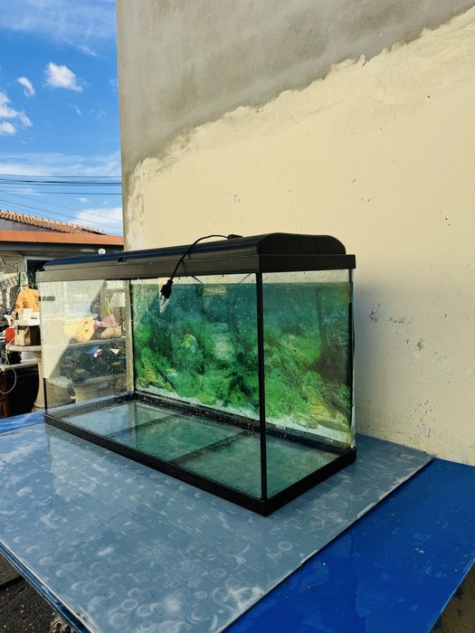 Aquário de 170 Litros