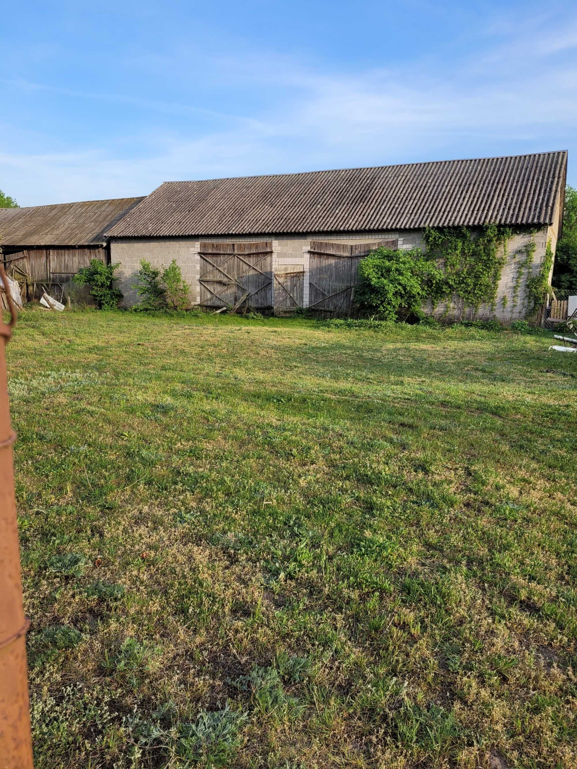 Siedlisko, dom z budynkami gospodarczymi. Piękna okolica. 30km od W-wy