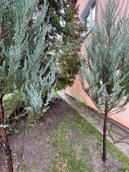 Оренда окремого будинку, ділянка 6 сот, заїзд, Рудно!