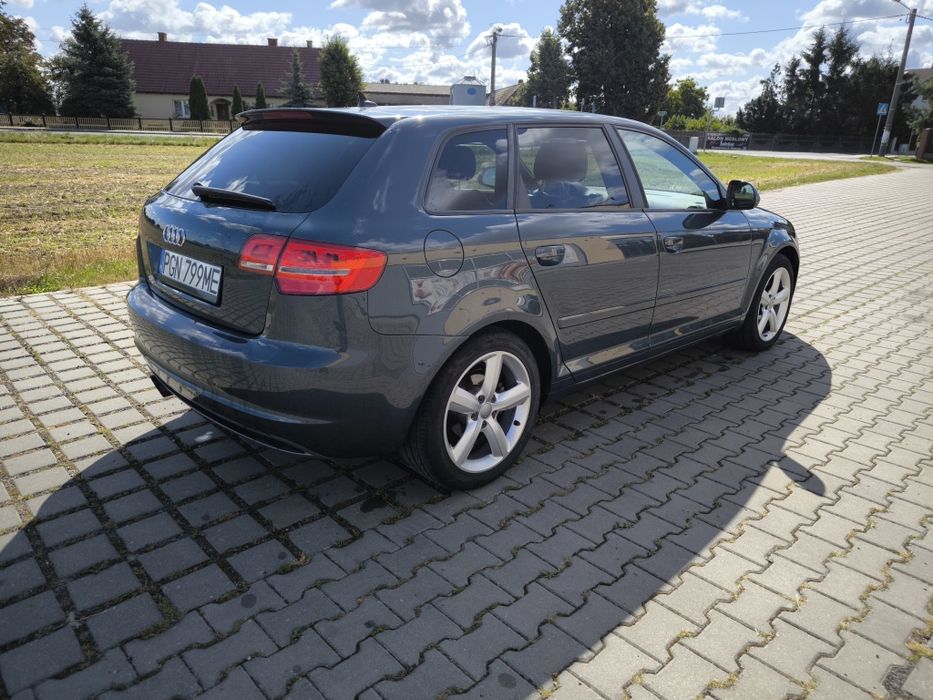 Audi A3 8PA DSG Łopatki F1