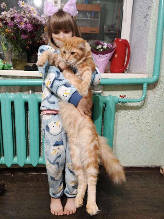 Віддам даром у хороші руки