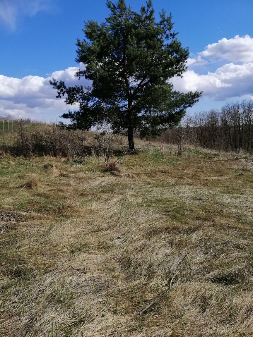 Земельна ділянка Велика Бугаївка