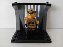 LEGO Ninjago - Cole (Golden Ninja) - Crystalized - njo758