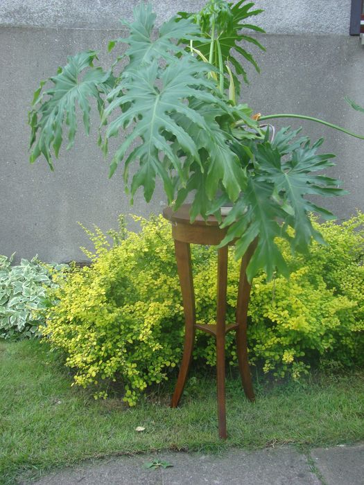 Piękna Konsola-kwietnik w stylu Art Deco