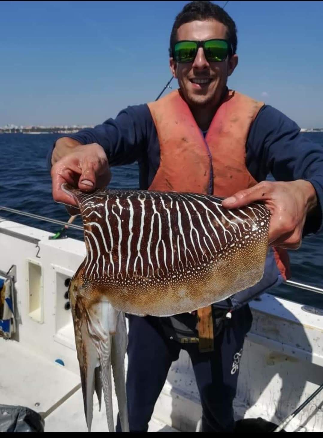 Pesca embarcada sesimbra