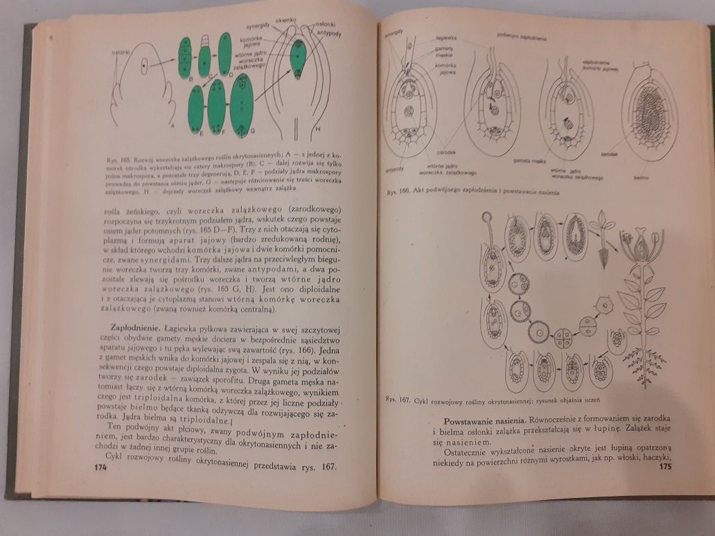 Z.Podbielkowski, T.Umiński, L.Palka, M.Podbielkowska Biologia