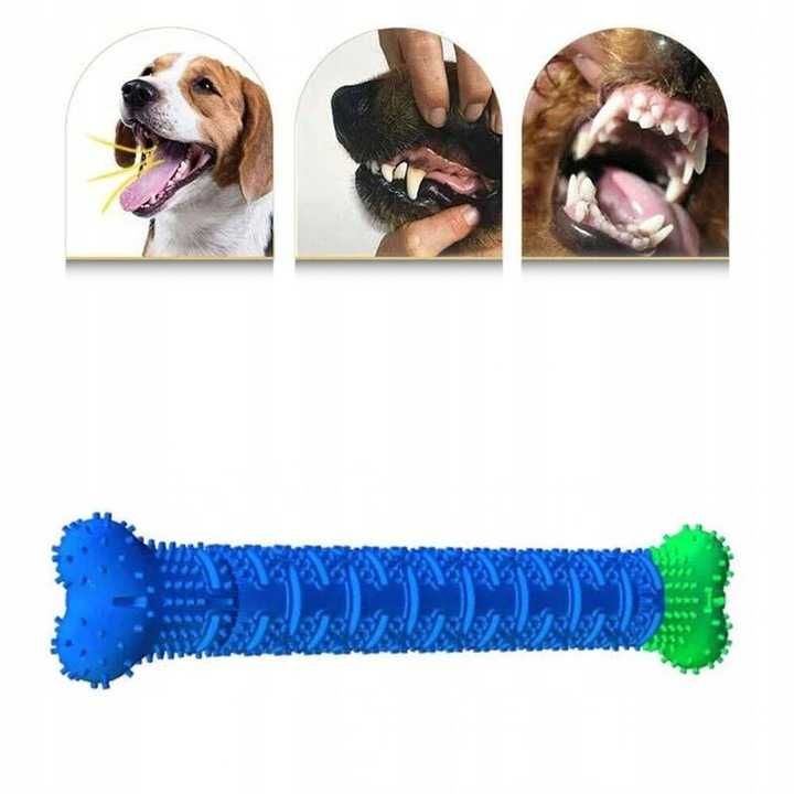 Gryzak dla psa kość szczotka do zębów zabawka