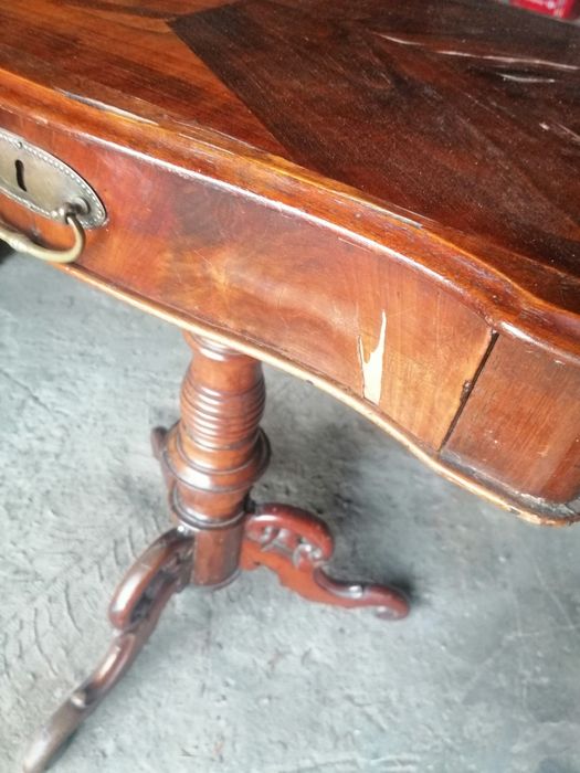 Piękny niciak ludwik filip