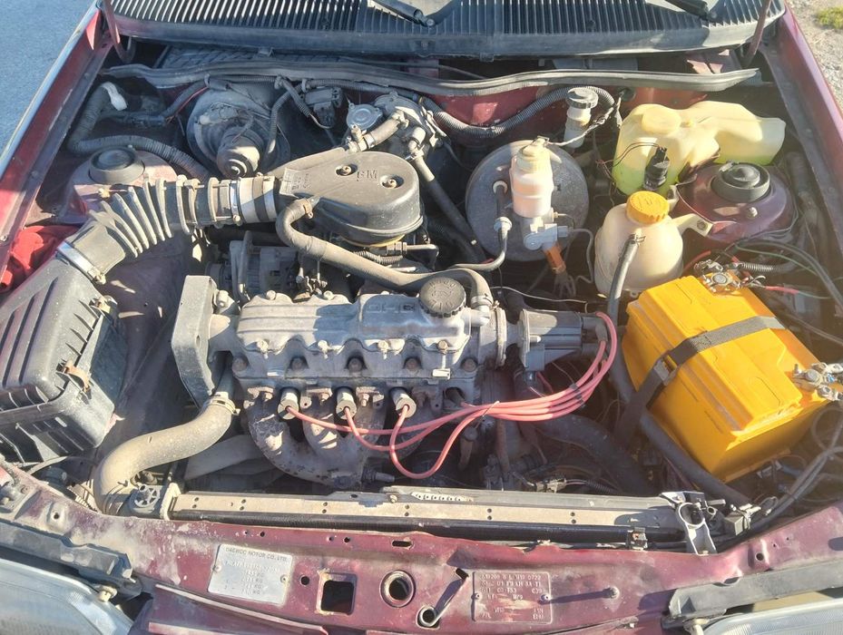 Део Рейсер (кадет)