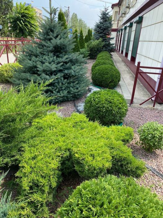 Ландшафтний дизайн догляд за зеленими насадженями