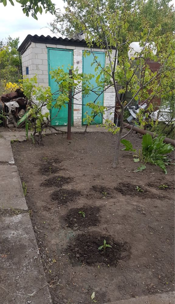 Двухэтажная дача Дальние дачи Подпорожнянка