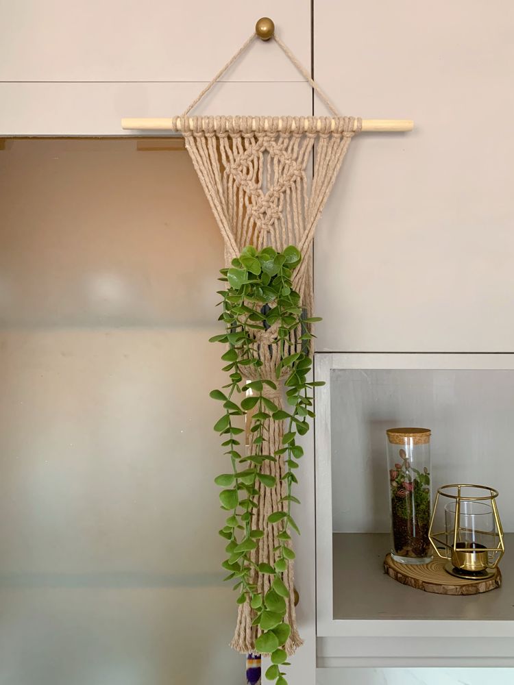 Uma planta pode decorar uma parede