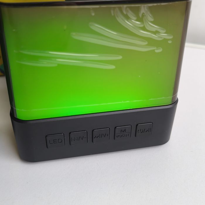 Портативна Bluetooth колонка-караоке із двома мікрофонами