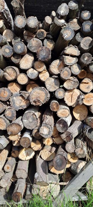Akacja 3 m3 drewno opałowe kominkowe
