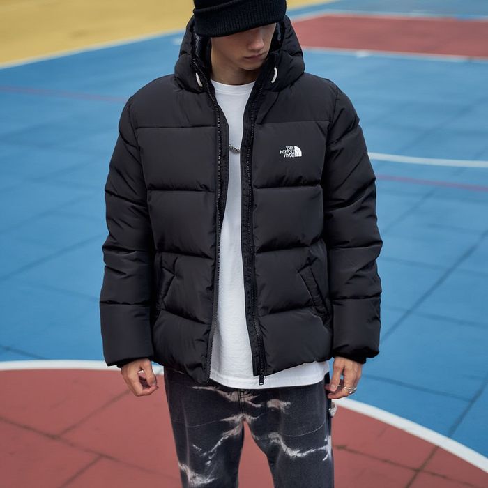 Куртка мужская TNF черная зимняя с био-пухом