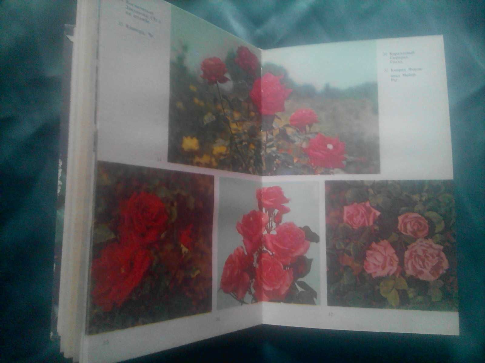 Книга каталог справочник Розы