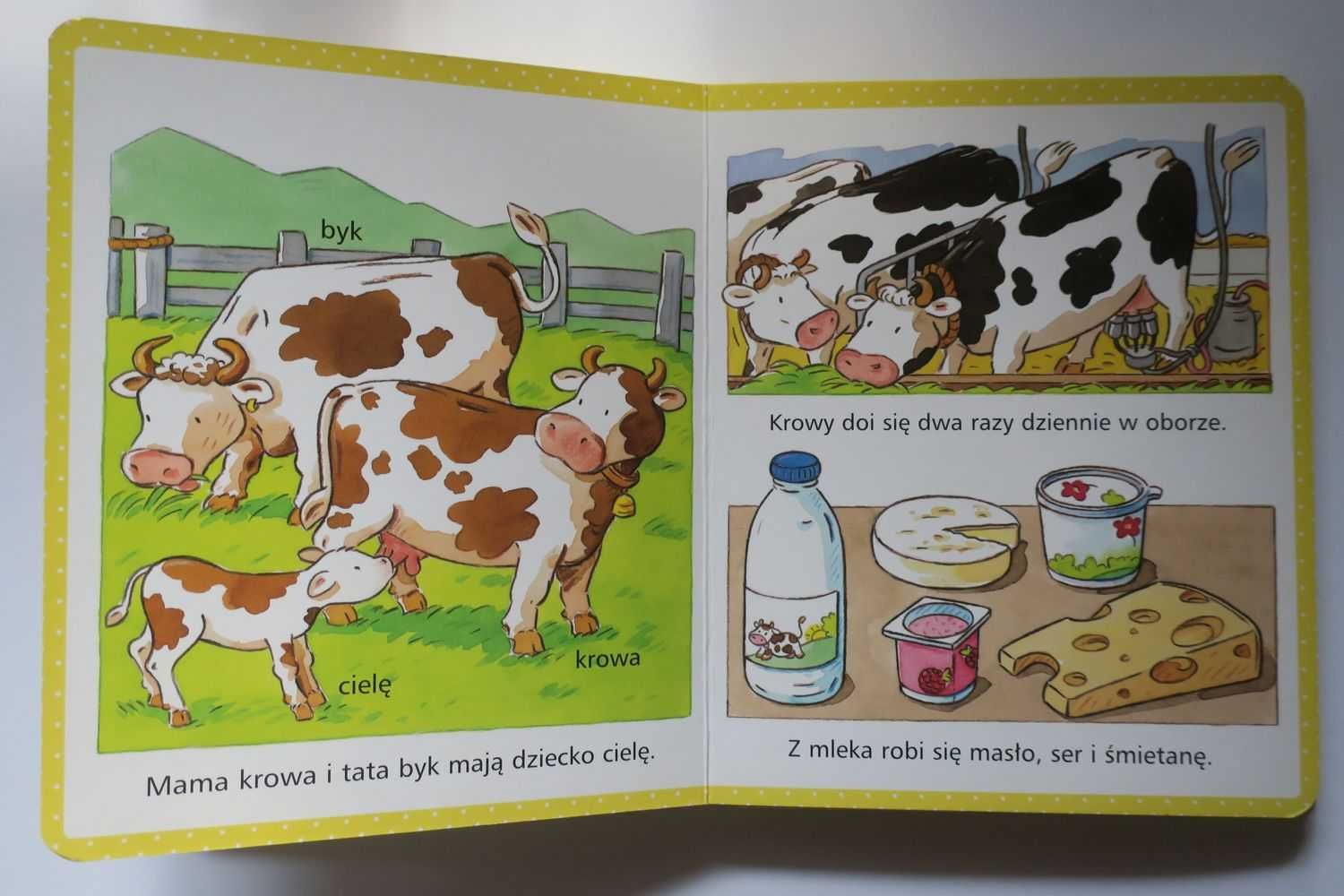 Obrazki dla maluchów Wieś E. Beaumont