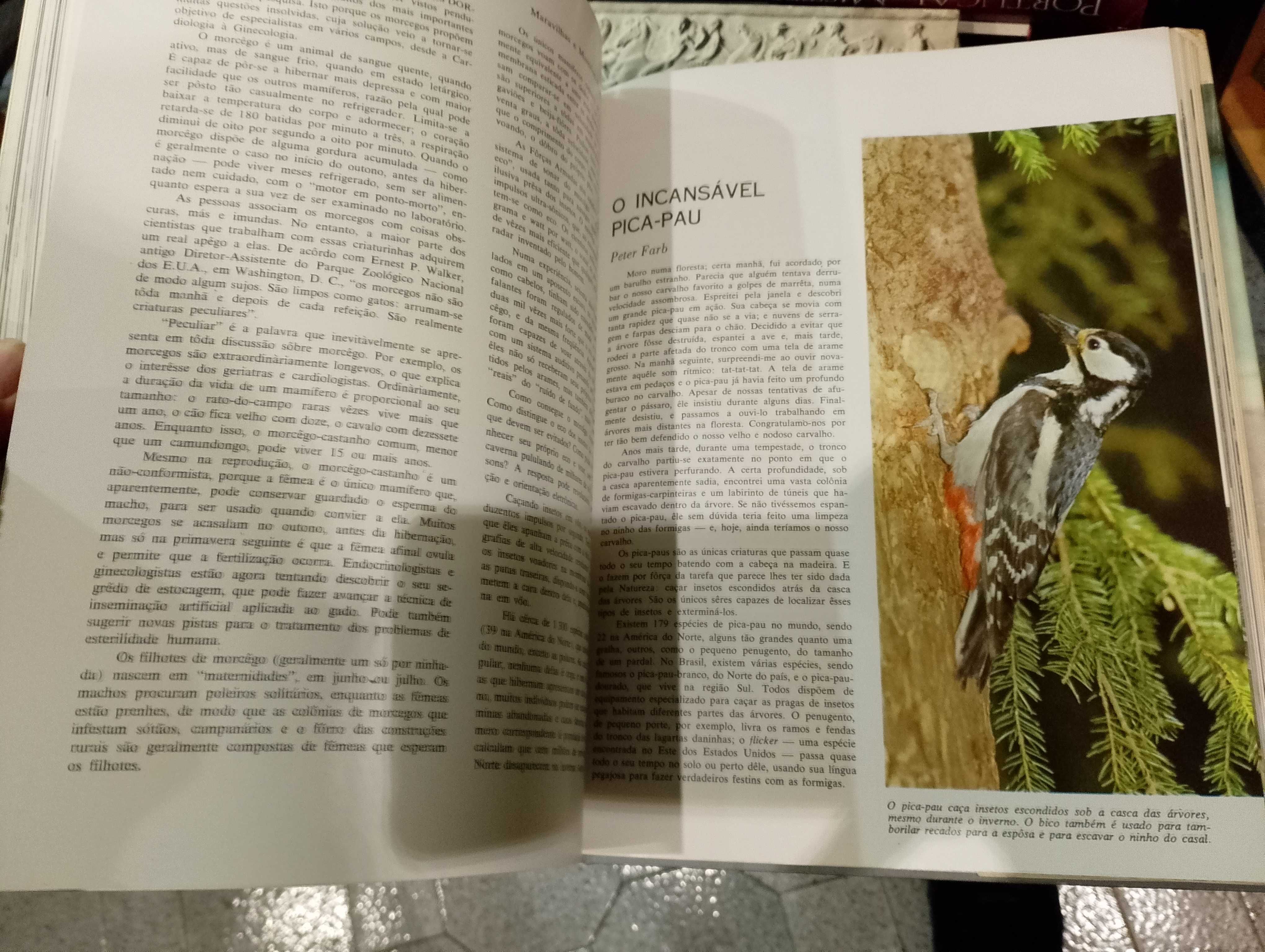 Maravilhas e Mistérios do Mundo Animal - Seleções do Reader's Digest