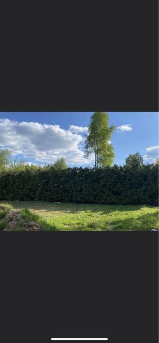 Usługi Ogrodnicze Koszenie Traw Wycinka Drzew/sadowCzyszczenie działek